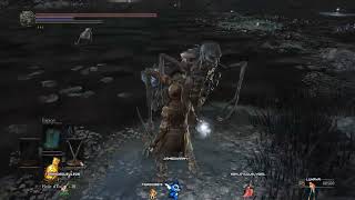 Forgotten Souls: Discovering the Lost Stories of Dark Souls III