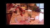 Jd S Salsa In Seconds Product Review Noreen S Kitchen Youtube