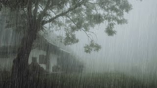 Addormentarsi in 5 Minuti con Pioggia Rilassante e Temporale sul Tetto nella Foresta Nebbiosa