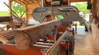 Norwood Sawmill action! Sawmilling Pine logs | Sawmill Sights and Sounds