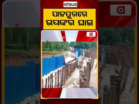 ଯାଜପୁରରେ ଭୟଙ୍କର ଘାଇ | Jajpur Flood Update: Massive Breach In River Embankment | Argus News