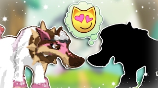 MY ANIMAL JAM WEDDING