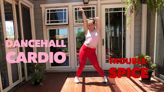 Trouble || SPICE|| Dancehall Fitness