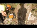 Stihl ms 361