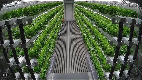 Hàn Quốc: Nông nghiệp thông minh mở ra những tiềm năng mới