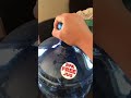 How to remove refillable 5 gallon water jug cap (18.9L)