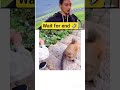 "जब मदद ही बन गई मुसीबत 😂" #funny #viral #trending #sehar