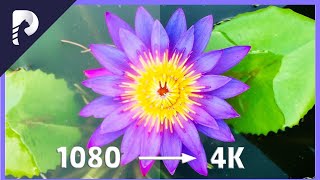 1080P ou 4K ? comment convertir vidéo 1080P en 4K ? [2024] screenshot 3