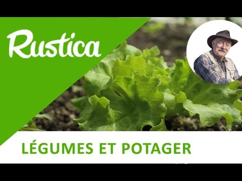 Semer en ligne