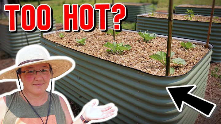 Do Raised Beds Get Too Hot? Soil Temperature Tests & Results!
