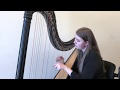Hey There Delilah - Plain White T's (Harp Cover by Arianna Worthen)