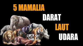 Daftar5 Hewan Mamalia Darat Laut dan Udara