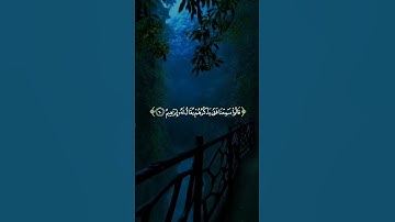 تلاوة عطره تزيل الهم و الحزن 😌