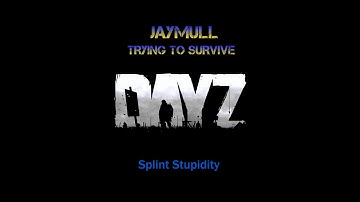 Splint Stupidity - DayZ Standalone