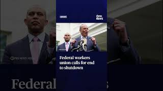 WATCH: Federal workers union calls for end to shutdown