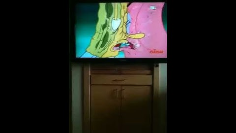 SpongeBob and Patrick kissed!