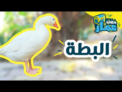 حكايا عم ار الحلقة الأولى البطة
