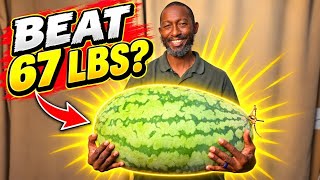 Did This Watermelon Beat My 67-Pounder?