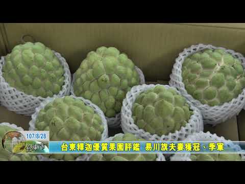 20180828 台東釋迦優質果園評鑑 易川旗夫妻獲冠、季軍