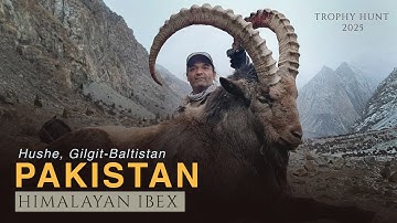 Ibex Hunt #wildlife #Hunting #adventure #nature #instagram #viralvideo #viralshort #mountains #views