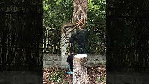 Vẽ tranh 3D cực đỉnh, ảo lòi mắt trên thân cây  🎨 3D