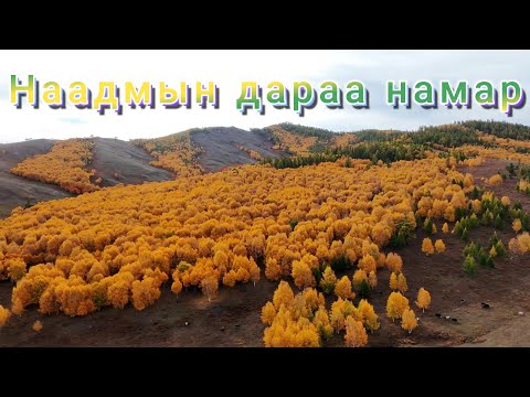 Наадмын маргааш намар