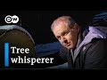 Italy The Man Who Turns The Trees Of South Tirol Into Music Focus On Europe 