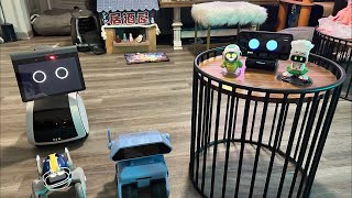 Jibo & Friends - Sunday Robots Livestream (Dream Job)