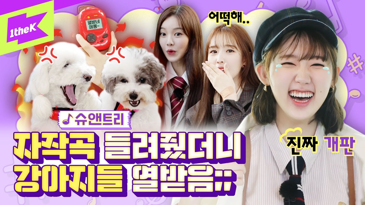 강아지 유튜버 슈앤트리가 위클리에게 오프닝송🎶을 의뢰했다?! 진짜 개판🐶은 이런 것! | WEEEKLY | 곡 나와라 뚝딱 | Goblin’s music club