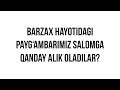 Savol-javob: "Barzax hayotidagi Payg‘ambarimiz salomga qanday alik oladilar?"