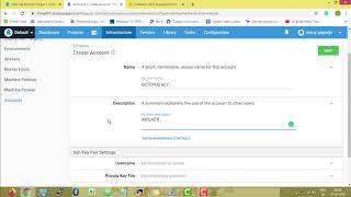 Octopus Deploy : Configure EC2 with Deployment Targets |  Video - 5 (b)