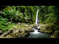 Gitgit Waterfall in Buleleng Regency of Bali 4k. Relaxing Waterfall Sounds 10 hours in 4k UHD.