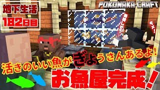 マインクラフト ┃よってらっしゃいみてらっしゃい！新店舗お魚屋さん完成！地下生活182日目/ぽこなかくら#432