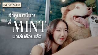 เจาตบมานมา พ Mint มาเลนดวยแลว Mint Bnk48