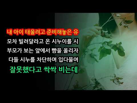 실화사연  내 아이 태울려고 준비해놓은 유모차 빌려달라고 온 시누이를 시부모가 보는 앞에서 뺨을 올리자 다들 시누를 차단하며 입다물며 잘못했다고 싹싹 비는데