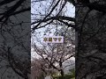 僕は盲学校で1人クラスでした。#盲学校 #クラス #日常 #おすすめ