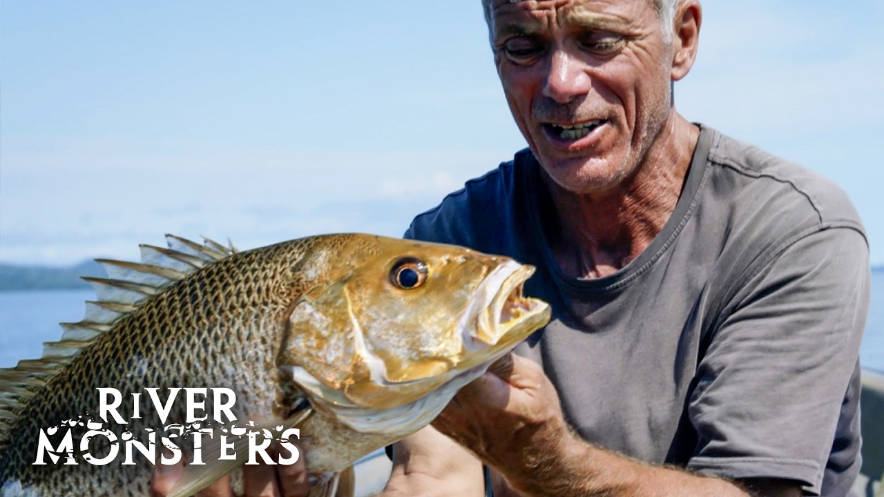 Sight-Hunting Fish: Predators Using Massive Eyes To Seek Out Prey | River Monsters