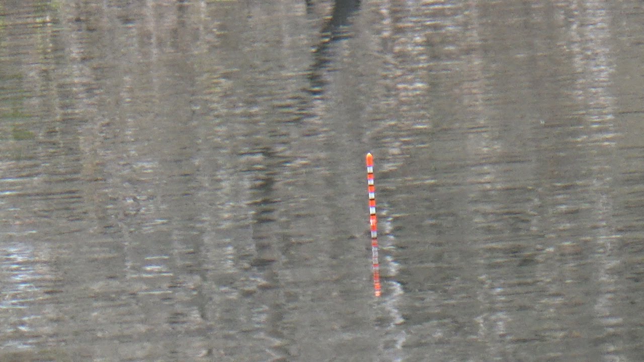 Mencoba Experimen Pas Air SURUT 🇮Waduk Bendo Terbarru 2024