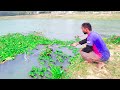 New Amazing Hook Fishing | Catch Fish by Fish Hook From River With Beautiful Nature