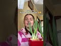 I M Bragging Viktoriabulitko Music Bulitka Flowers Jokes Funnyvideo Jokes Onion Bulitko