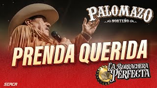 Palomazo Norteño Rosendo Cantú Prenda Querida Video Oficial