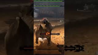 I am a rider.    #monsterhunter #mhxx #citraemulator