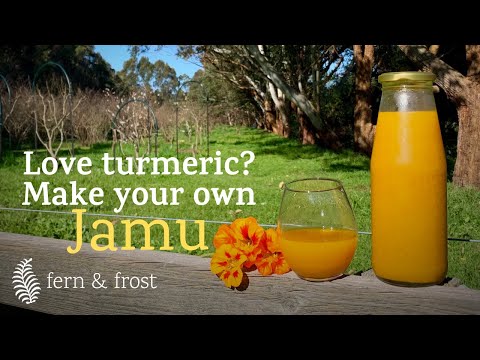 Ginger Turmeric Jamu