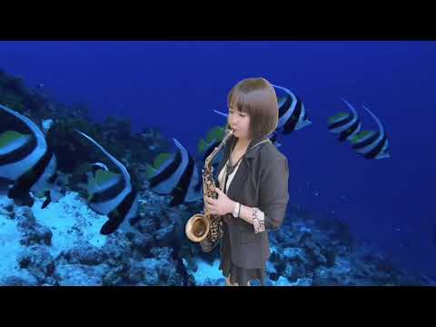 薩克斯風/saxophone/港邊相思曲/劉秀靜演奏