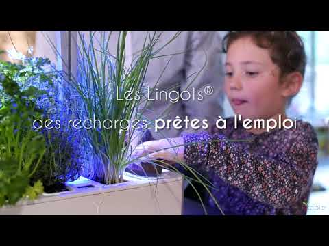 Potager d'intérieur autonome