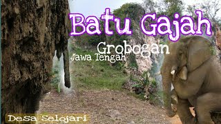 Reviewing Watu Gajah in Selojari Village, Klambu District, Grobogan Regency | Grobogan Tourism | ...