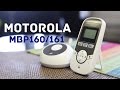 Motorola MBP160 и MBP161: обзор радионянь