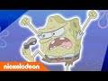 Jaman batu spons | Nickelodeon Bahasa