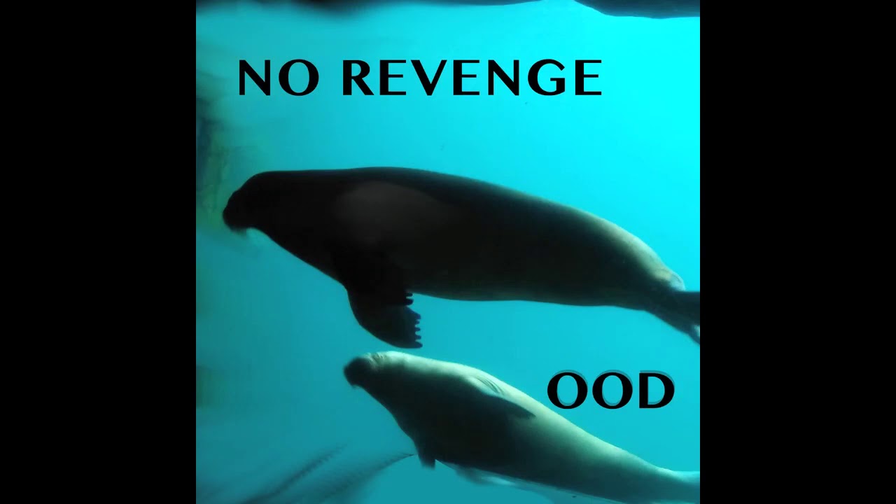 The Bitterness Of Heart