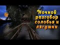 Ночное озеро. Звуки природы Сверчки, лягушки и пение птиц для глубокого сна